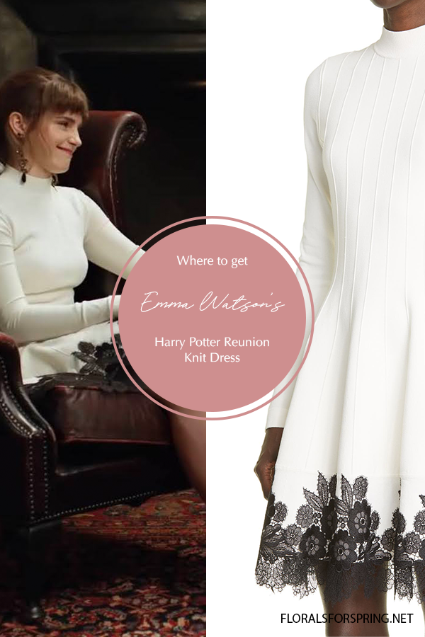 Emma Watson's Dress for the Harry Potter reunion