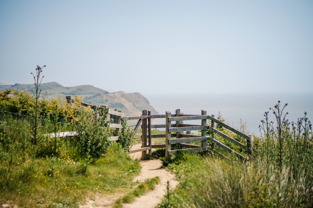 Dorset Coastal Hike to Golden Cap